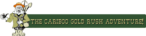 The Gold Rush Adventure Game